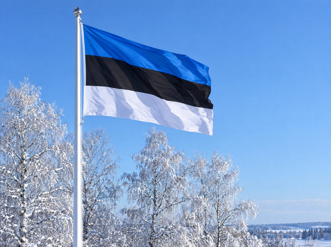 Eesti lipp talvises taevas